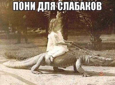 Прикрепленное изображение: пони для слабаков.jpg